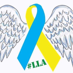 Fundraising Page: Ava's Angels -LLA